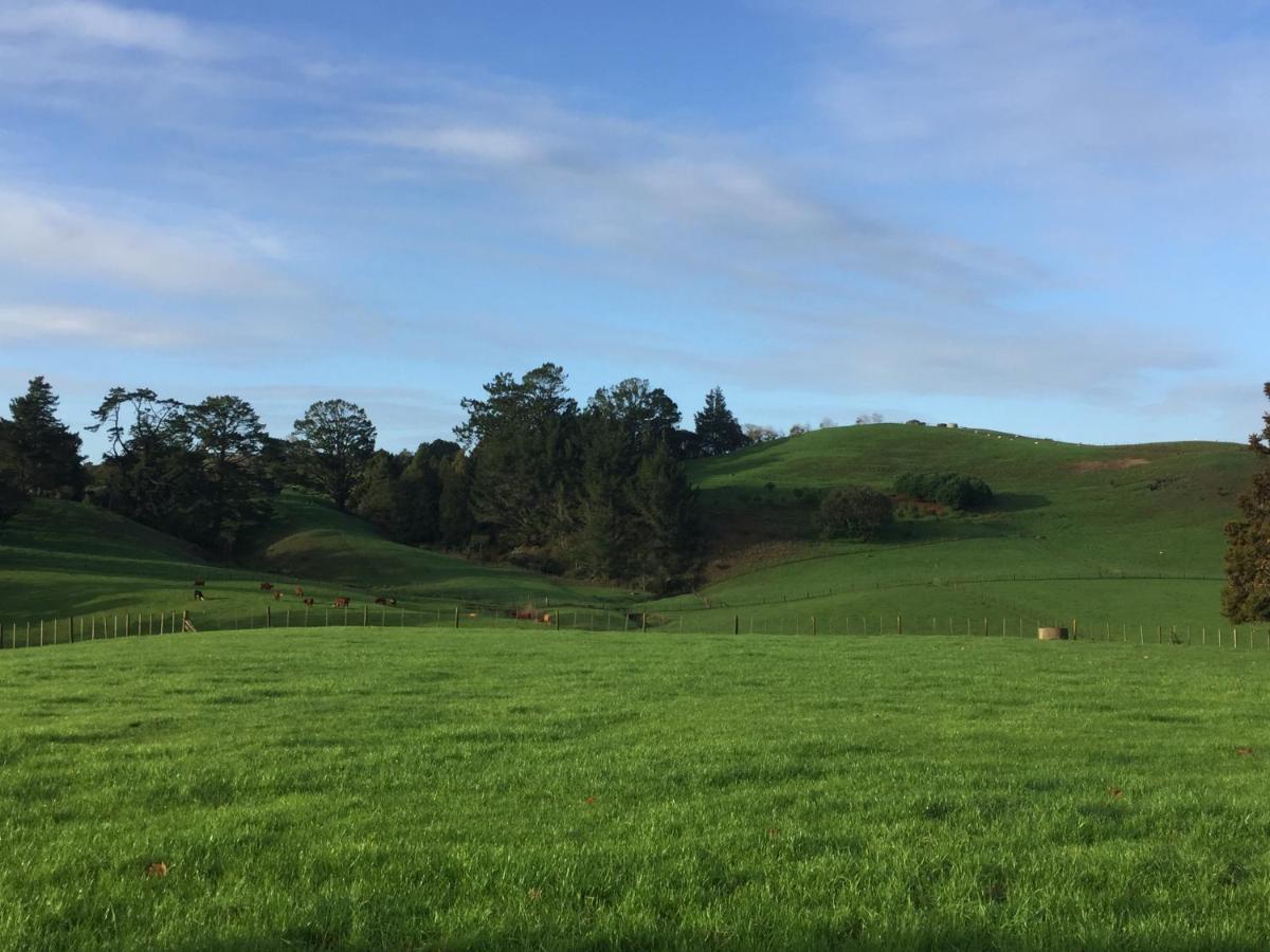Veld View Bed And Breakfast Tuakau Exteriör bild