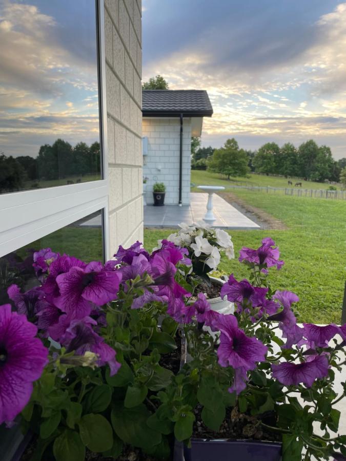 Veld View Bed And Breakfast Tuakau Exteriör bild