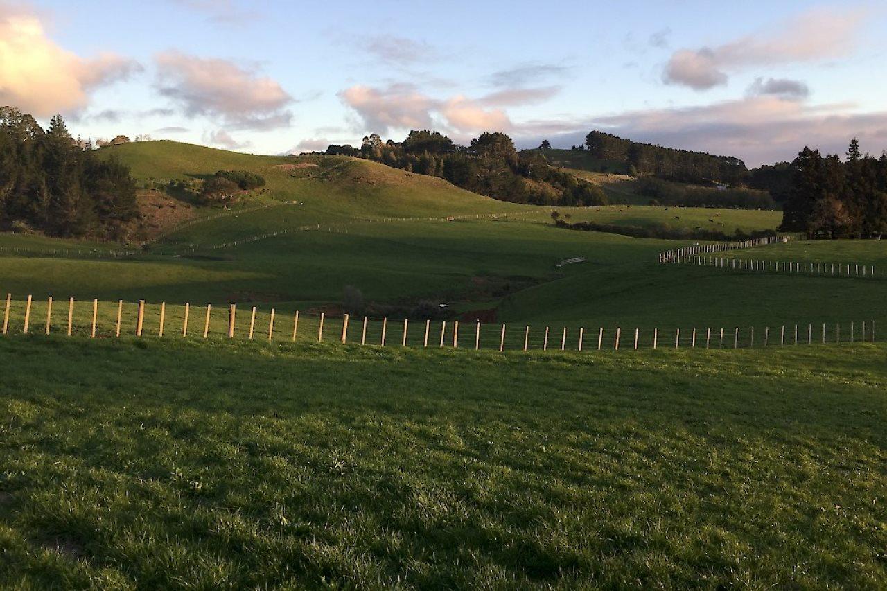 Veld View Bed And Breakfast Tuakau Exteriör bild